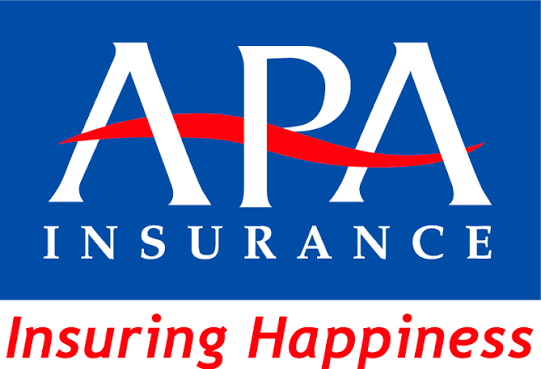 APA Insurance Logo
